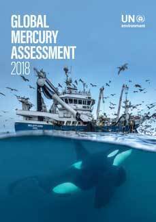 2018 Summary Global Mercury Assessment