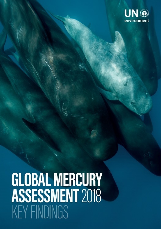 2018 UNEP Global Mercury Assessment Key Findings